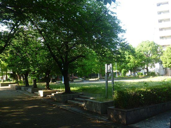 Hinode Minami Park